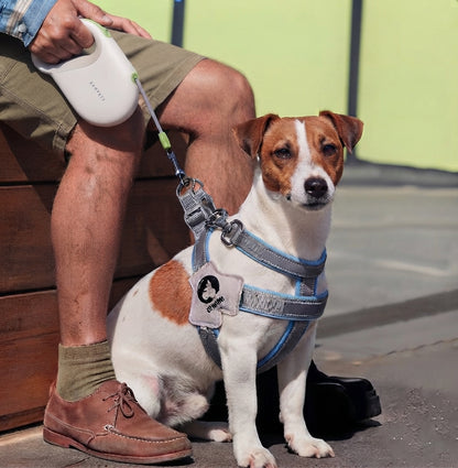 Lior Pet™ EasyWalk